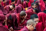 tibetische Mönche